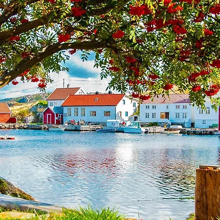 5 Person In Lyngdal *